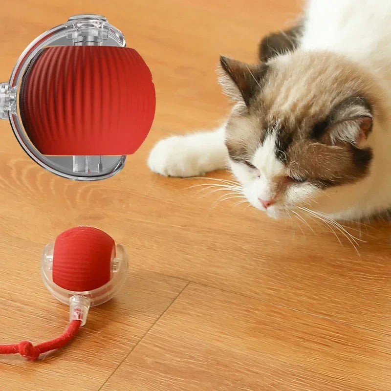 Electric Cat Ball Toys Automatic Rolling Ball Faux Tail Rechargeable Smart Pet Interactive Toy Dog Cat Training Imitate Mouse